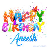 Animated GIF with colorful, festive 'Happy Birthday Aneesh' text decorated with patterns, a party hat, and falling confetti. A vibrant and cheerful design for birthday celebrations.
