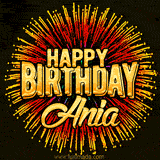Golden 'Happy Birthday Ania' text accompanied by animated rainbow fireworks for a festive animated greeting.