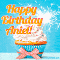 Happy Birthday, Aniel! Elegant cupcake with a sparkler.