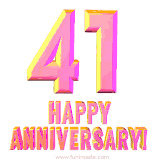 Sophisticated pink and gold '41 Happy Anniversary' text in a polished 3D look, crafted to highlight a significant milestone.