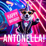 Animated GIF of a cool dog wearing a suit and sunglasses, holding a 'Happy Birthday' sign for Antonella, set against a bright and colorful neon party background.