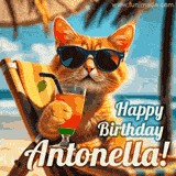 An animated orange cat wearing sunglasses, sitting on a beach chair with a tropical drink, with a festive 'Happy Birthday Antonella!' message.