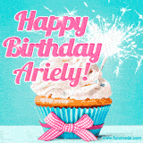 A festive cupcake with pink icing, a gingham bow, and a lit animated sparkler, paired with 'Happy Birthday Ariely!' in bright pink text.