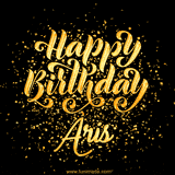 Animated GIF with colorful, festive 'Happy Birthday Aris' text decorated with patterns, a party hat, and falling confetti. A vibrant and cheerful design for birthday celebrations.