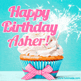 A festive cupcake with pink icing, a gingham bow, and a lit animated sparkler, paired with 'Happy Birthday Asher!' in bright pink text.