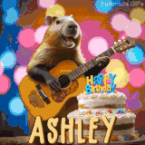 Animated birthday GIF showing a capybara playing guitar and singing beside a birthday cake with the name Ashley in large letters and colorful bokeh lights in the background.