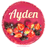 Beautifully decorated red velvet berry birthday cake with vibrant fruits and a glowing 'Ayden' name, adding a touch of sweetness and sparkle.