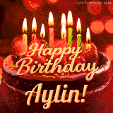 Beautifully decorated red velvet berry birthday cake with vibrant fruits and a glowing 'Aylin' name, adding a touch of sweetness and sparkle.