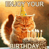A meme-style Happy Birthday GIF showcasing a chubby orange tabby cat with a mischievous grin in a party hat, blowing out candles on a birthday cake. Text on image says Enjoy your birthday.