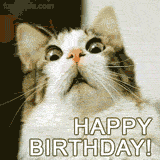 Cute, funny, and unforgettable. Download this high-quality animation of a stunned cat face to spread smiles and giggles for a happy birthday celebration.