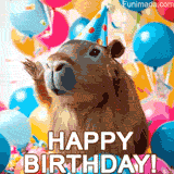 A capybara wearing a party hat, surrounded by balloons and confetti and a Happy birthday message.