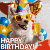 Animated GIF featuring a cheerful white dog in yellow sunglasses and a colorful party hat, holding a champagne glass. Surrounded by balloons and gold heart decorations, 'Happy Birthday' text appears.
