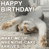 A funny birthday GIF of a cat sleeping upside down with the text 'Happy Birthday! Wake me up when the cake arrives!'—perfect for anyone who loves cats and cake.