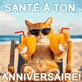 Carte animée d’anniversaire avec un chat détendu à la plage, deux verres à la main, lunettes de soleil et message en lettres blanches « Santé à ton anniversaire ! »