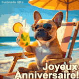 Miniature de la vidéo montrant un bouledogue français cool avec des lunettes de soleil et un cocktail, Ceci est pour une vidéo musicale et drôle avec le message 'Joyeux Anniversaire'.