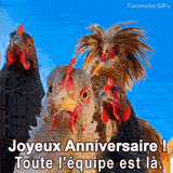 Miniature de la vidéo montrant un groupe de poulets drôles regardant la caméra sur un fond bleu, Ceci est pour une vidéo musicale et drôle de 'Joyeux Anniversaire' de 'toute l'équipe'.