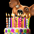 Hilarious DOG birthday GIF with birthday cake