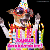 Un chien excité avec un chapeau de fête et des lunettes rouges célèbre un anniversaire. Il a la gueule ouverte et les pattes en l'air devant un gâteau avec des bougies colorées.