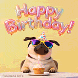 Animated image of a cool dog waiting to eat a birthday treat. The background is yellow and large inflated balloon letters float over the pugs head.