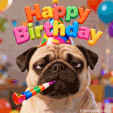An animated GIF featuring a grumpy-looking pug dog ready to party. It has a rainbow blower in its mouth and a festive hat, set against a background of blurred balloons.