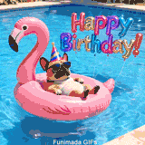 A French Bulldog wearing sunglasses and a party hat relaxes on a pink flamingo float in a blue swimming pool. Colorful foil balloons spelling 'Happy Birthday!' float above the water.