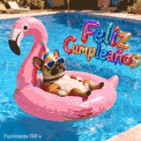 Un Bulldog Francés con gafas de sol y gorro de fiesta se relaja sobre un flotador de flamenco rosa en una piscina azul. Letras globo de colores dicen 'Feliz Cumpleaños'.