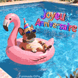 Un Bouledogue Français portant des lunettes de soleil et un chapeau pointu se détend sur une bouée flamant rose dans une piscine. Des ballons écrivent 'Joyeux Anniversaire'.