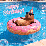 Happy Birthday GIF heaturing A relaxed capybara wearing black sunglasses and a party hat floats on a pink donut inflatable in a blue swimming pool.