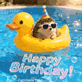 A funny animated scene of a hedgehog relaxing on a duck inflatable. The prickly animal wears shades and a hat while the water shimmers under the shiny 'Happy Birthday!' sign.