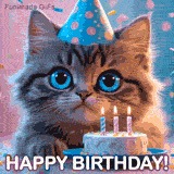 A charming and gentle Birthday GIF. The innocent kitten and the mini cake offer a sweet and happy greeting to wish someone a wonderful day.