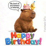 A cute brown capybara sitting with a pink birthday cake and a tiny duckling in a party hat on its head, below a speech bubble saying My level of excitement is internal.