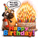 A concerned pug looks at a towering inferno of birthday candles on a sprinkle-covered cake, while holding a tiny fire extinguisher under a funny speech bubble.