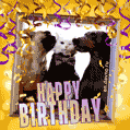 Cute and Funny Pets Birthday Animated (Gif) Card