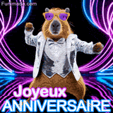 Video animee avec un sympathique capybara qui danse en portant des lunettes de soleil violettes et un gilet colore, tandis que des lasers roses tournent.