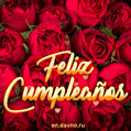 Feliz Cumpleaños - Rosas rojas GIF