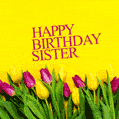 Beautiful Colorful Tulips Happy Birthday Sister GIF