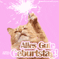 Alles Gute zum Geburtstag Katze mit Wunderkerze Gif Meme