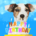 Funny Dog and Happy Birthday Dog Animated GIF Image