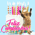 ¡Feliz cumpleaños! Descargar nuevo GIF: pastel de cumpleaños y gato bailando.
