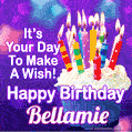 It's Your Day To Make A Wish! Happy Birthday Bellamie!