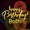 Happy Birthday, Bodhi! Celebrate with joy, colorful fireworks, and unforgettable moments.