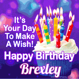 A colorful birthday GIF for Brexley featuring a cupcake with vibrant lit candles and the text 'It's Your Day to Make a Wish! Happy Birthday Brexley' in bold letters on a festive purple background.