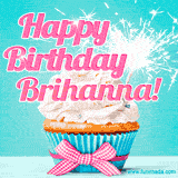 A festive cupcake with pink icing, a gingham bow, and a lit animated sparkler, paired with 'Happy Birthday Brihanna!' in bright pink text.