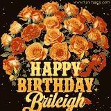 Animated bouquet of orange roses with moving butterfles and golden 'Happy Birthday Brileigh' text, surrounded by sparkling accents and a dark backdrop for a luxurious feel.