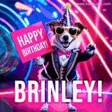 Animated GIF of a cool dog wearing a suit and sunglasses, holding a 'Happy Birthday' sign for Brinley, set against a bright and colorful neon party background.