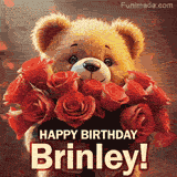 Cinematic style cute animated teddy bear with charming features holding a large bouquet of red roses, the words say 'Happy Birthday Brinley' in sans serif font.
