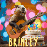 Animated birthday GIF showing a capybara playing guitar and singing beside a birthday cake with the name Brinley in large letters and colorful bokeh lights in the background.