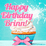 A festive cupcake with pink icing, a gingham bow, and a lit animated sparkler, paired with 'Happy Birthday Brinn!' in bright pink text.