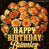 Animated bouquet of orange roses with moving butterfles and golden 'Happy Birthday Brinnley' text, surrounded by sparkling accents and a dark backdrop for a luxurious feel.