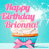 A festive cupcake with pink icing, a gingham bow, and a lit animated sparkler, paired with 'Happy Birthday Brionna!' in bright pink text.